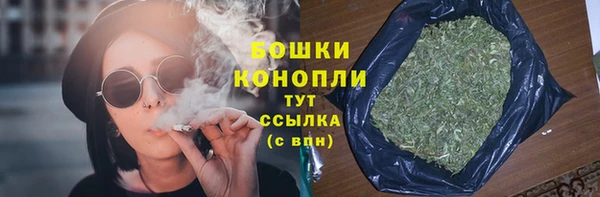 СК Михайлов