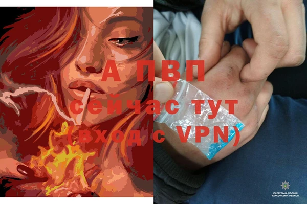 эйфоретик Михайловка
